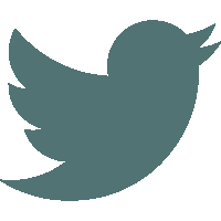 Share this article on Twitter